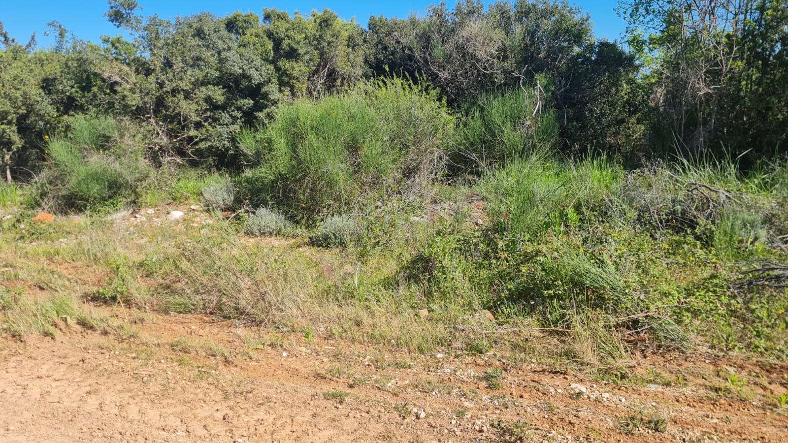 Obilježavanje dana planete Zemlje 2024.g.